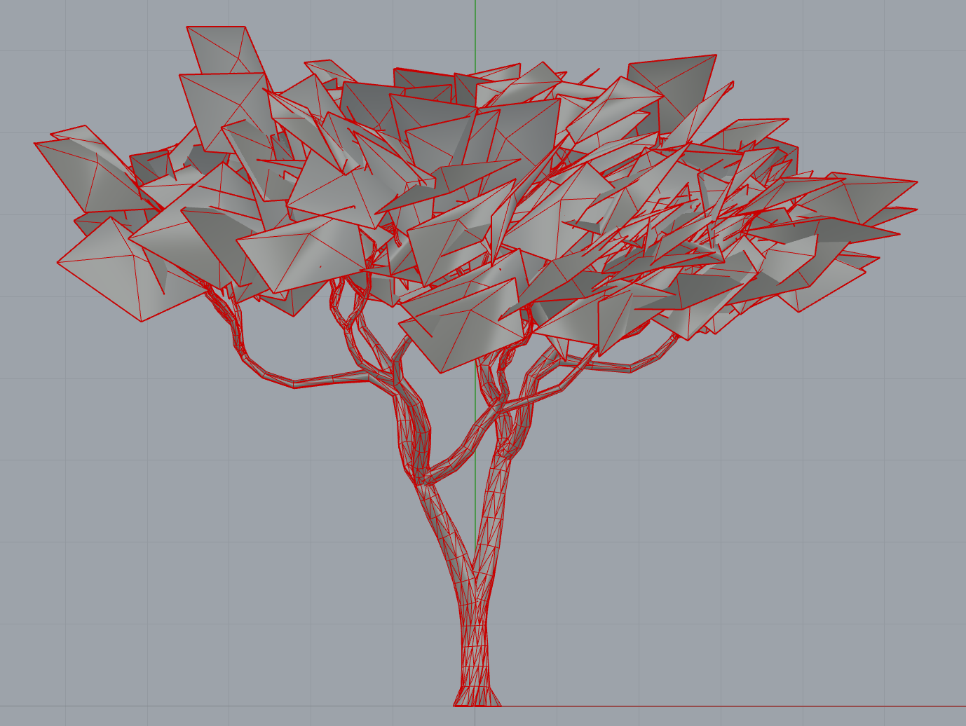 acacia.treeit.2025-09-28_16-56-06.png