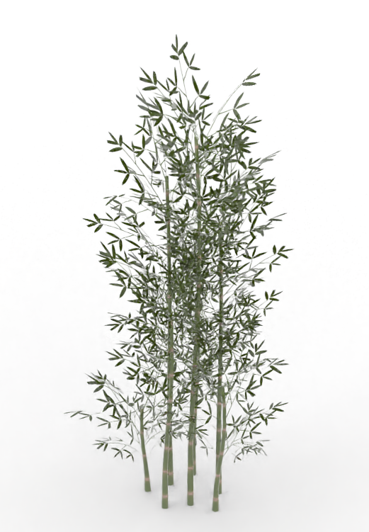 bamboo.treeit.2025-09-28_17-39-38.png