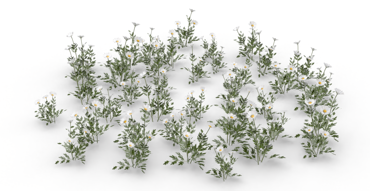 daisy.treeit.2025-09-28_17-47-22.png