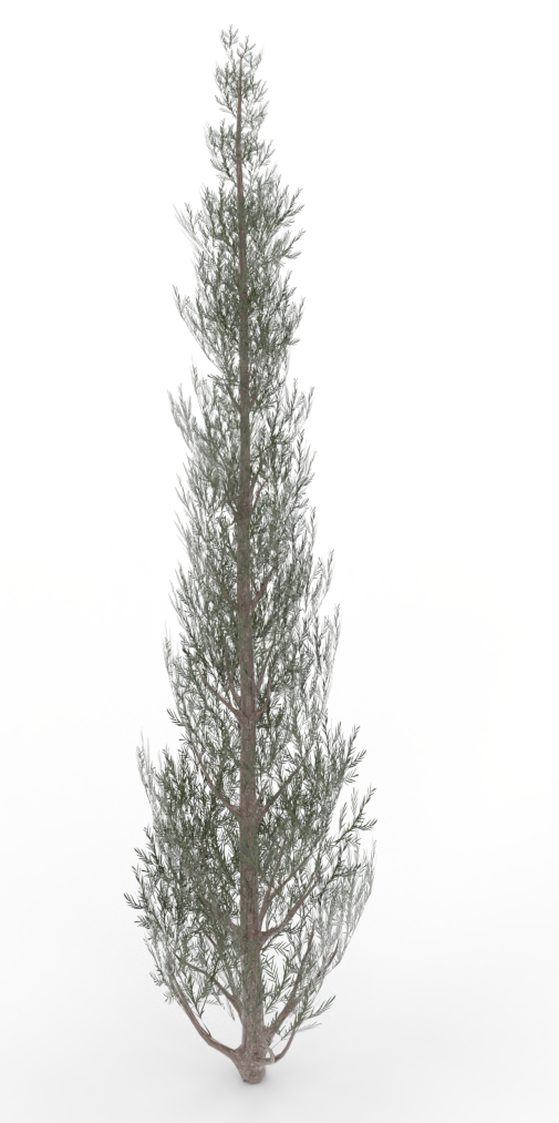 juniper.treeit.2025-09-28_16-50-03.png